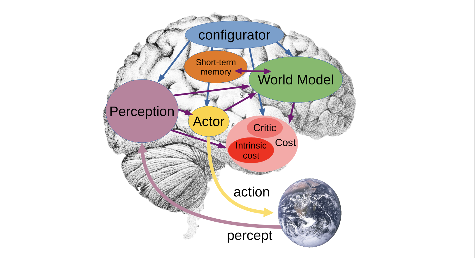 world-model